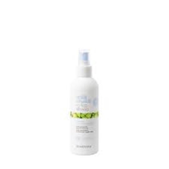Picture of MS NO FRIZZ ANTI HUMIDITY SPRAY